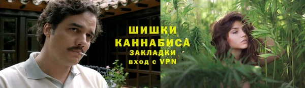 гашик Арсеньев