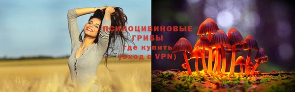 гашик Арсеньев