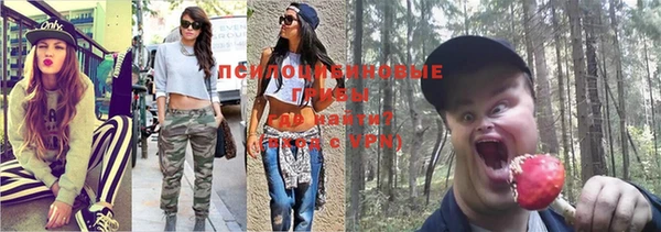 спиды Приозерск