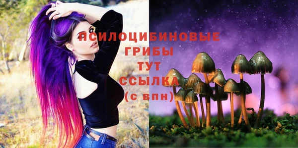 гашик Арсеньев