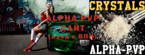 гашик Арсеньев