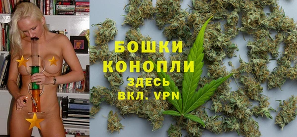 гашик Арсеньев